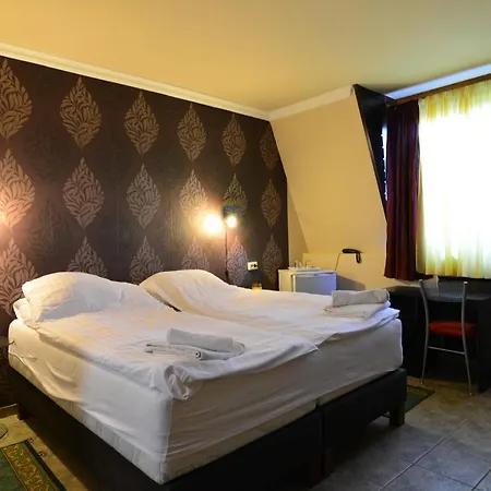 Отель Thermal Panzio