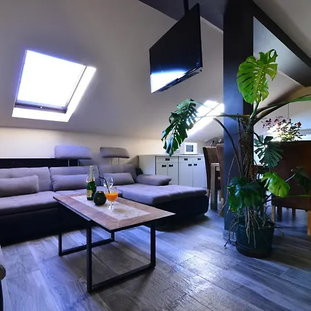 Thermal Panzio מלון Sárvár