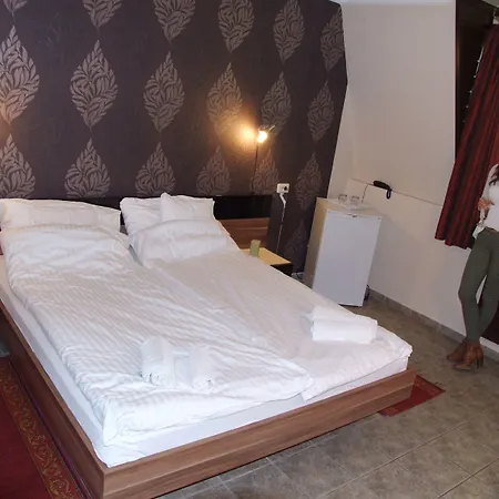 Hotell Thermal Panzio Sárvár