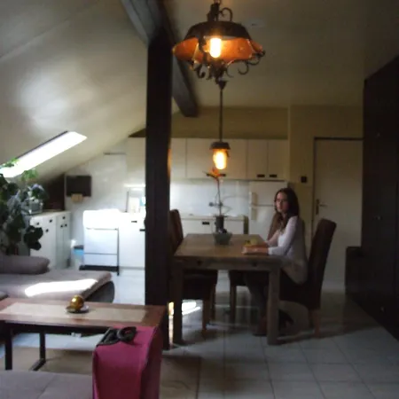 Thermal Panzio מלון